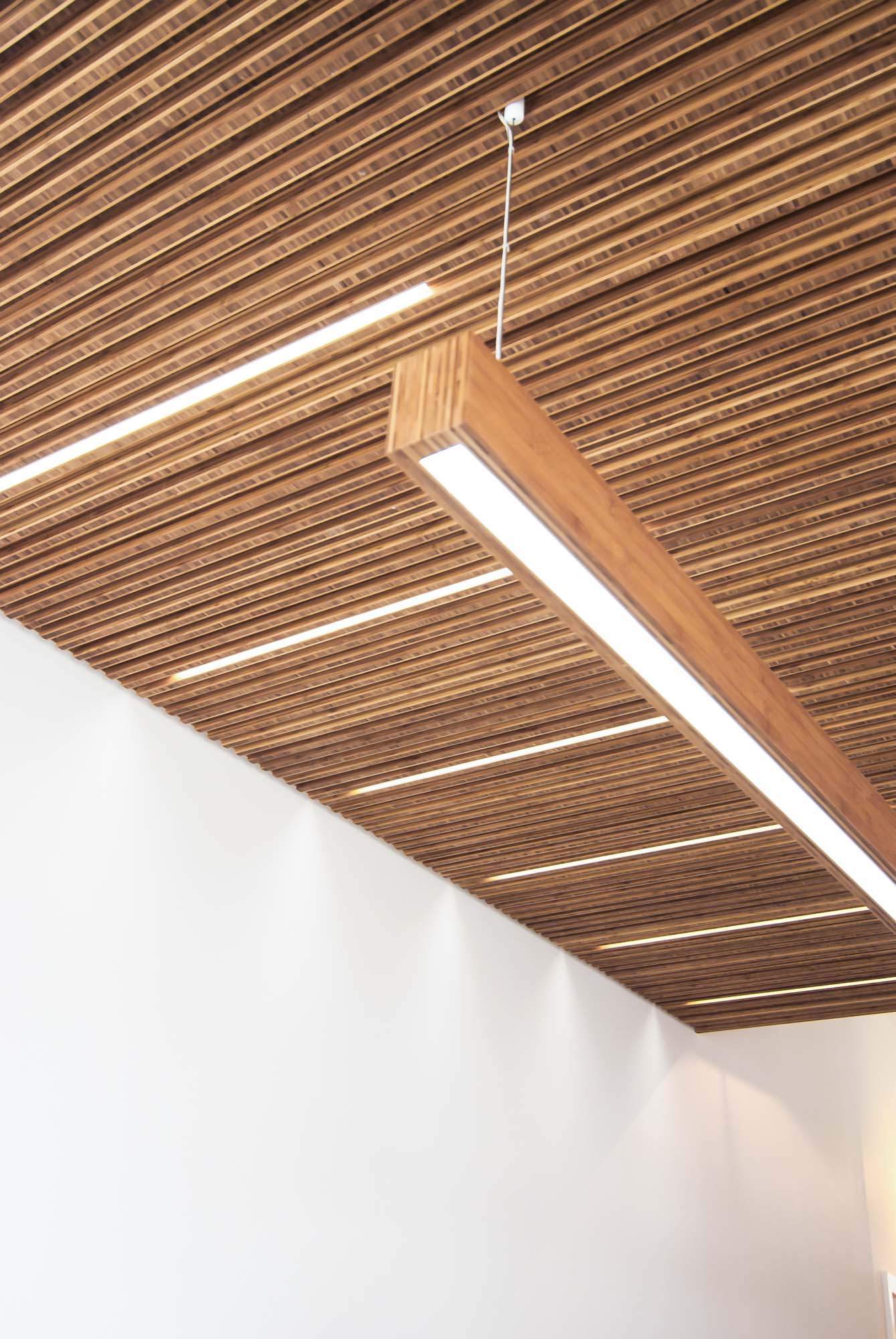 A close up of the Bamboo Plyboo joinery along LED light strips incorporated in the ceiling.