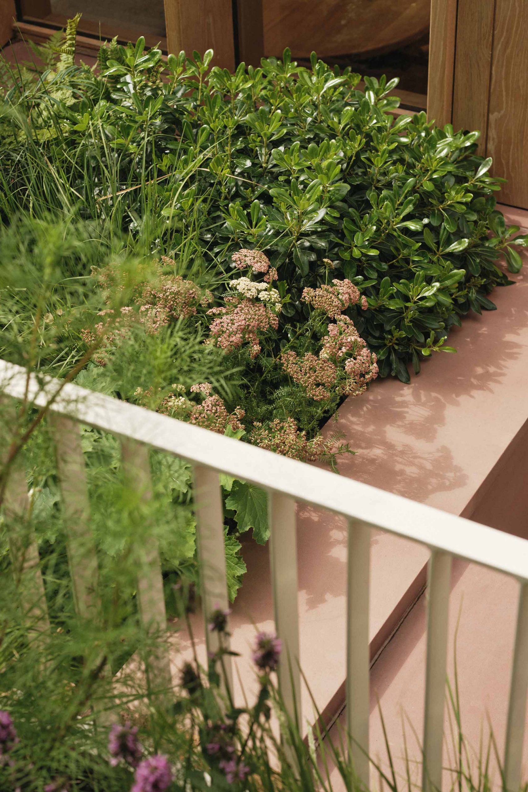 Lauriston raised garden with flower beds, patio, outdoor kitchen, pink concrete accents, oak panelling, and metal railing balustrade.