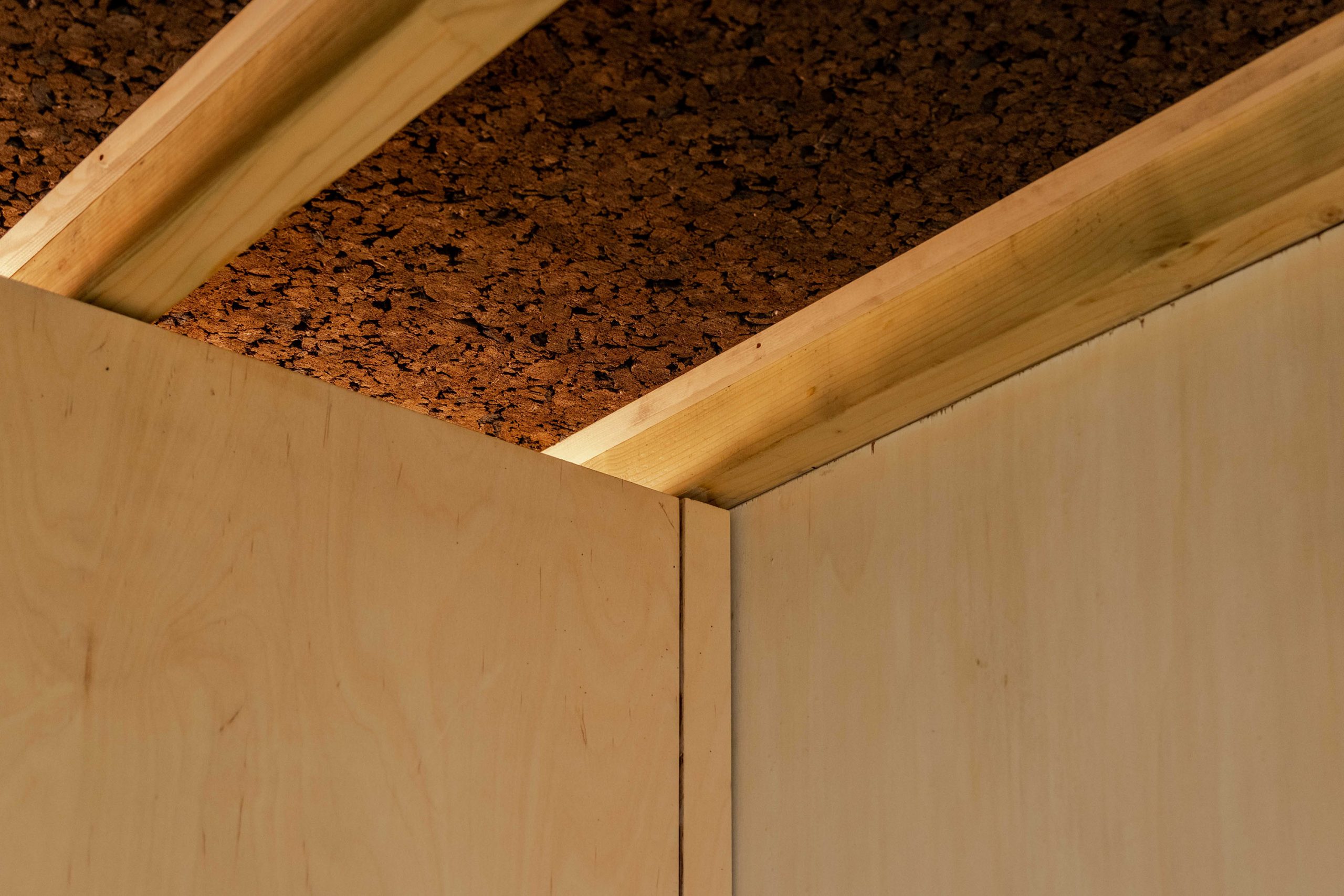 Detail of studio ceiling with exposed structure and lighting.