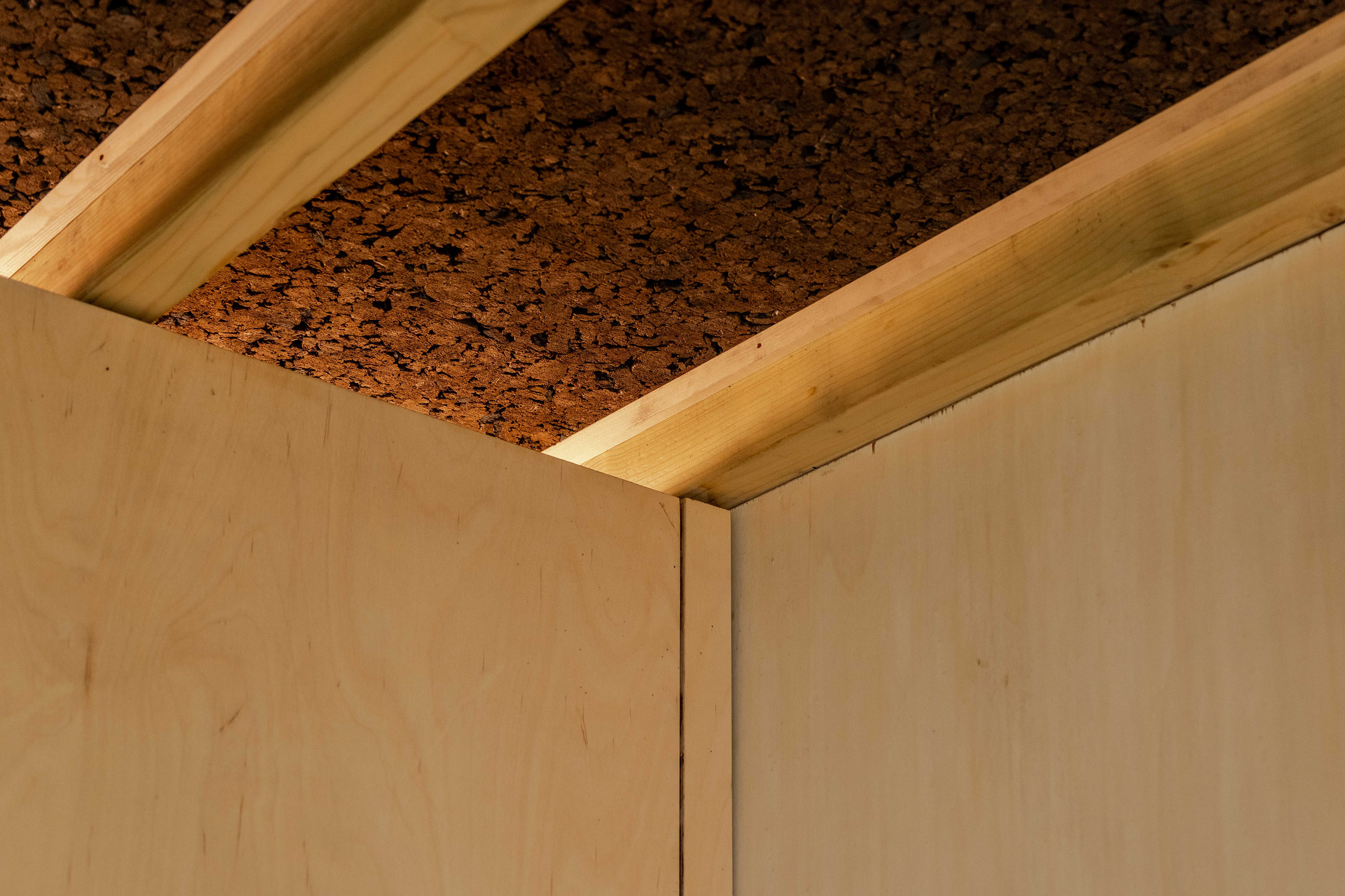 Detail of studio ceiling with exposed structure and lighting.